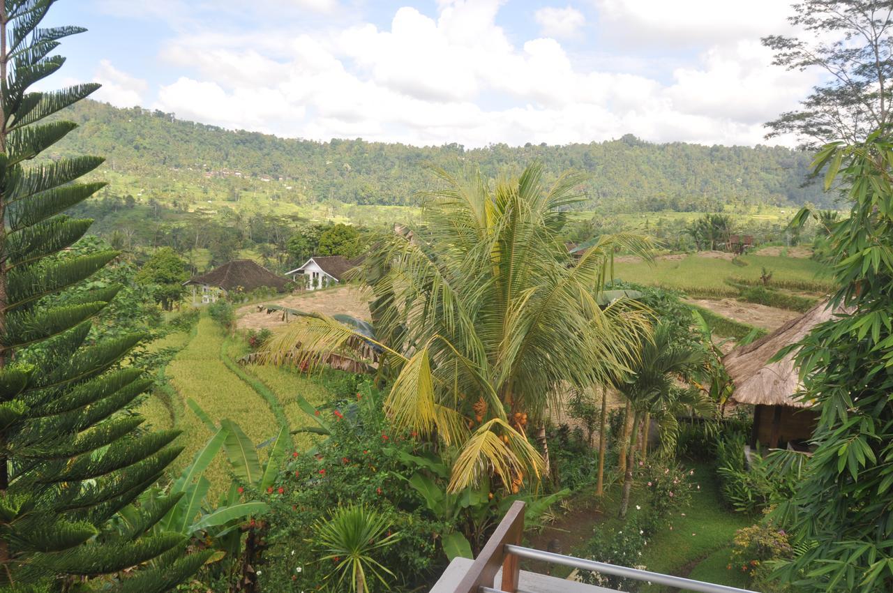Villa Shantiasa Bali Sidemen  Exterior photo